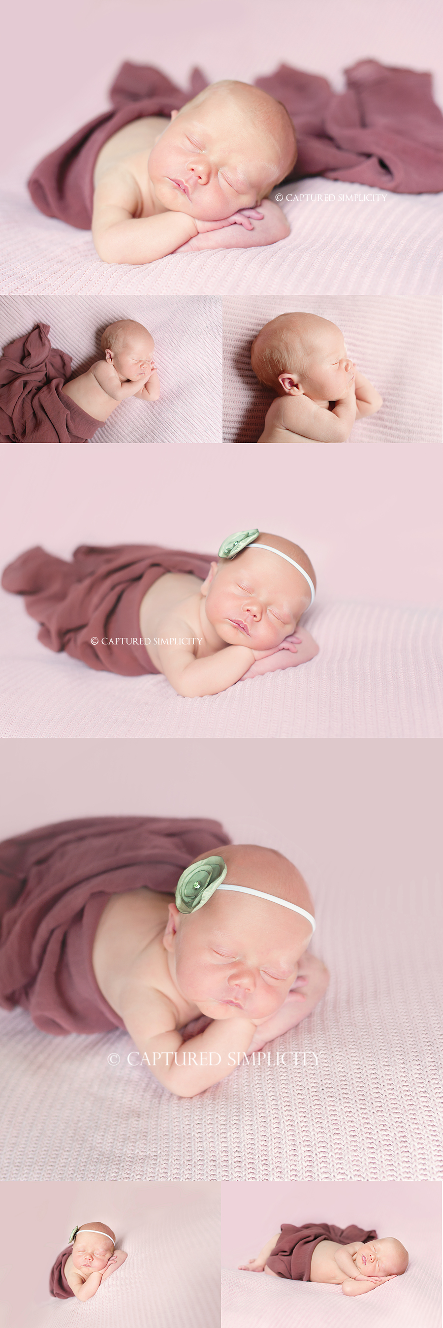 Houston Newborn Photographer