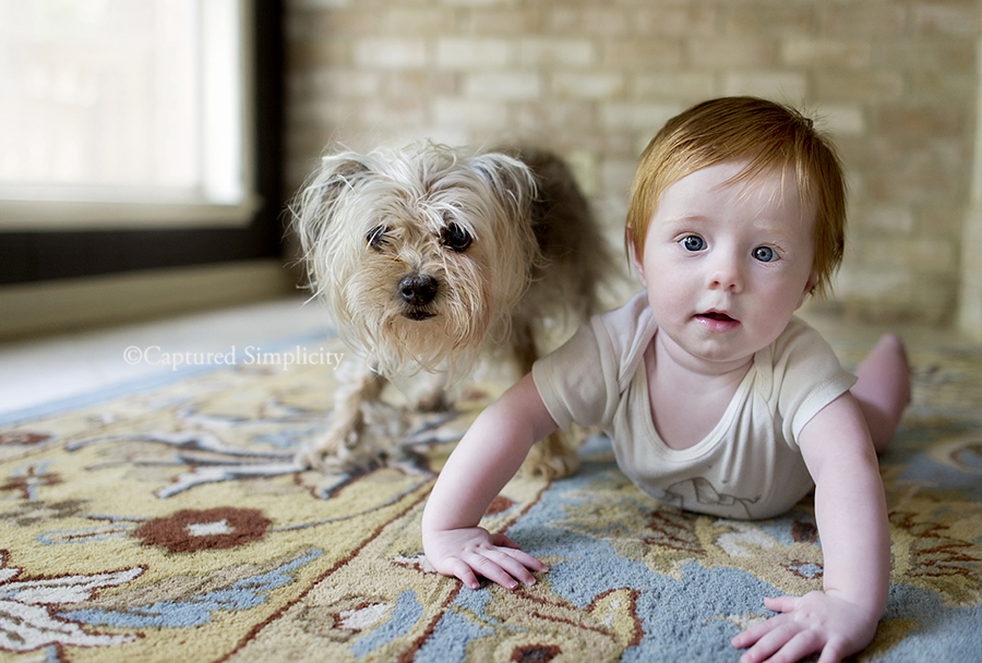 baby and puppy photos