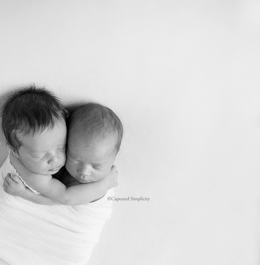 houston twin newborn photography