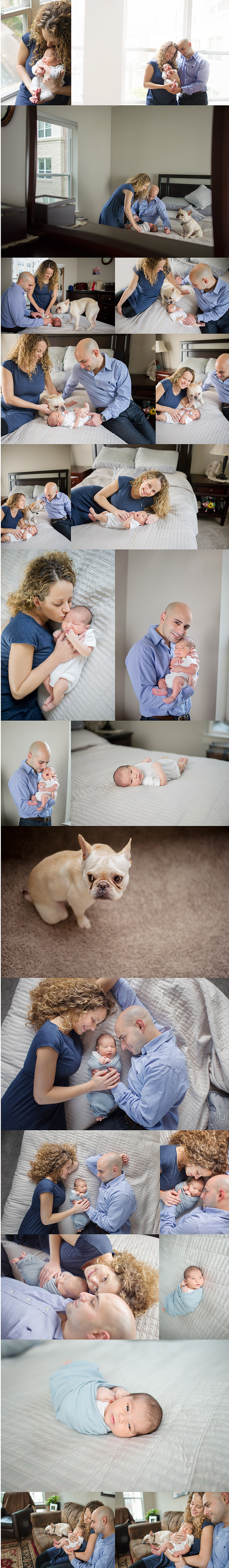 Newborn Family Pet Photography Houston