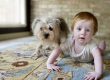baby and puppy photos