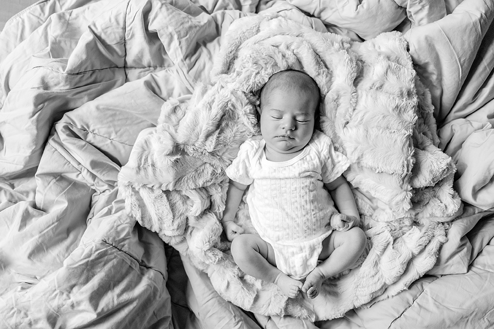 houston texas newborn photos