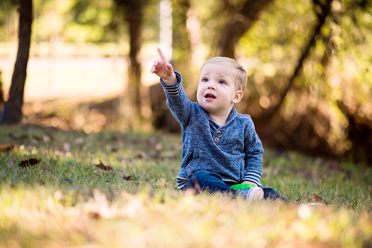 houston texas baby portraits