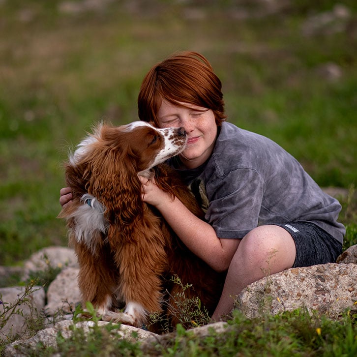 Captured Simplicity Family Photography - Dog