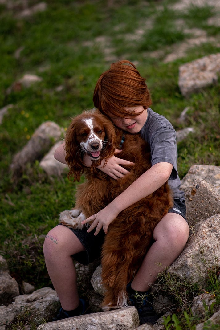 English Springer Spaniel - English Cocker Spaniel