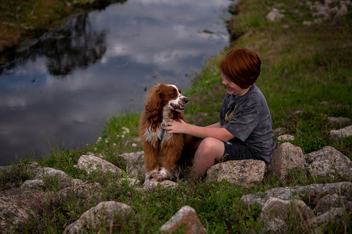 Dog - Dog hiking