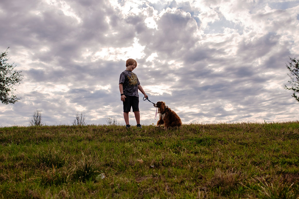 Dog - Grassland