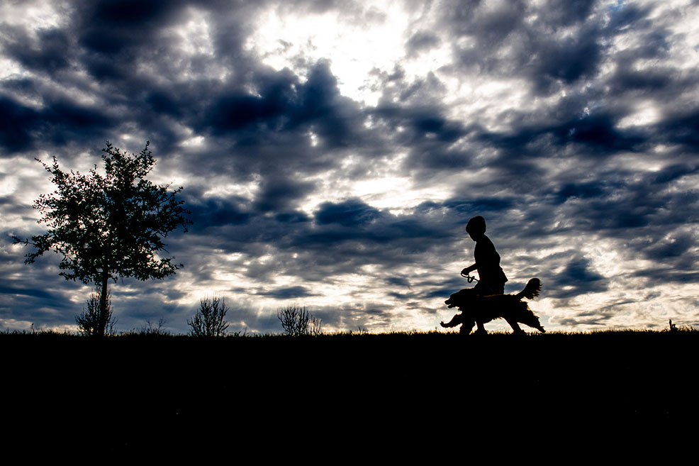 boy and dog photos