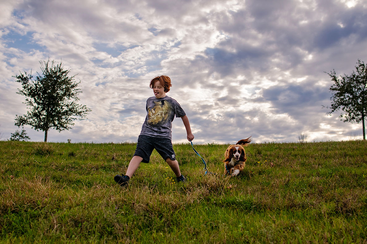 Dog - Grassland